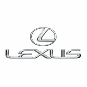 Luxus-Bongo-cars.png